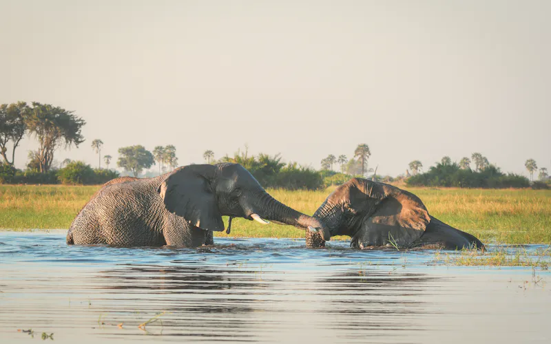 Botswana: widok na popularne miejsce w kraju